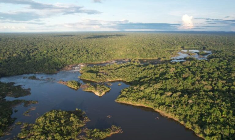 Investidores internacionais de olho na prestação de Serviço de Conservação Ambiental no Brasil